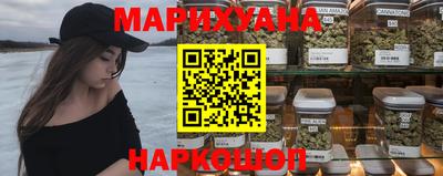 прущие грибы Шахты