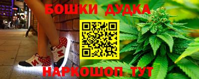 прущие грибы Шахты