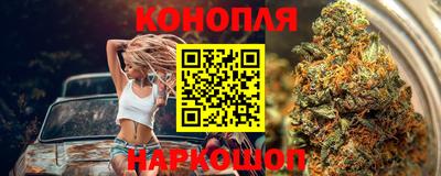 прущие грибы Шахты